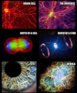 Some more similarities between universe and humans